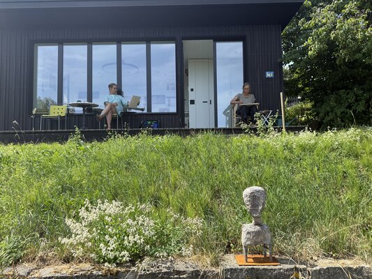 Juli 2026 / Donnerstagsgruppe / Zeichnen nach dem japanischen Maler Kimura bei mir im Garten